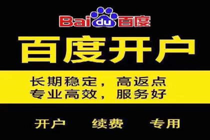 某电商平台信息流竞价策略及成效分析